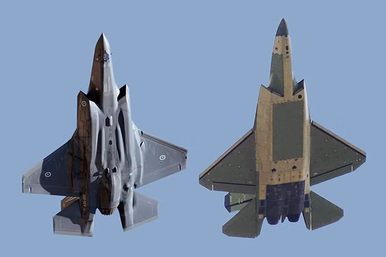 Đặt cạnh chiếc F-35, thông số của hai loại máy bay này khá tương đồng, J-31 có chiều dài ~16 m; sải cánh ~11 m; chiều cao 5,3 m còn kích thước của F-35 là (15,47 x 10,05 x 5,28) m. Trọng lượng rỗng và trọng lượng cất cánh tối đa của J-31 lần lượt là 15 và 25 tấn, trong khi F-35 là 14,5 và 27,2 tấn. Như vậy máy bay Mỹ mang được lượng nhiên liệu cũng như vũ khí lớn hơn.