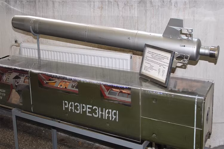 SA-9 Gaskin được bắt đầu phát triển vào năm 1960 và chính thức biên chế cho quân đội Liên Xô năm 1968. Đạn tên lửa 9M31 của hệ thống có chiều dài 1,803 m; đường kính 0,12 m; trọng lượng 32 kg; đầu đạn nổ phá mảnh nặng 2,6 kg; tầm bắn tối đa 4,2 km. Nguồn ảnh: Military Russia.