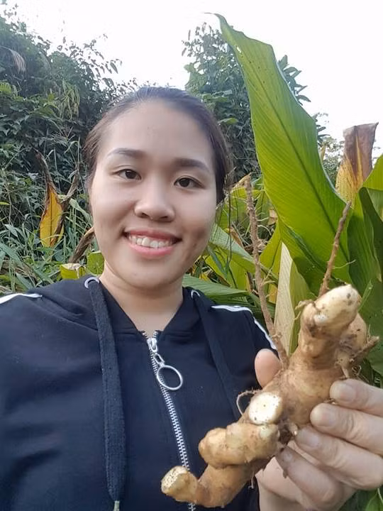 Chị Tuyết Chinh và bài thuốc chữa ho hiệu quả. Chị Tuyết Chinh và bài thuốc chữa ho hiệu quả.
