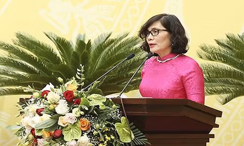 Giám đốc Sở Thông tin và Truyền thông Phan Lan Tú.