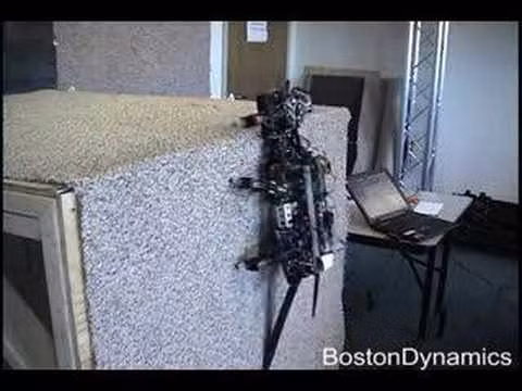 Rise gồm nhiều biến thể đó là RiSE V1 - mẫu robot leo núi nguyên mẫu đầu tiên; RiSE V2 - robot leo lên cả hai mặt đất cấp và miền đứng và RiSE V3 - một robot tứ giác để leo núi ngoài trời nói chung cũng như di chuyển theo chiều ngang.