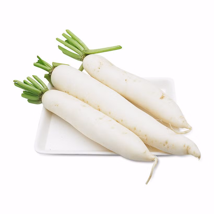 Củ cải trắng không những là một loại thực phẩm quen thuộc trong bữa cơm của người Việt Nam mà còn có tác dụng chữa nhiệt miệng một cách nhanh chóng. Ảnh: adayroi.