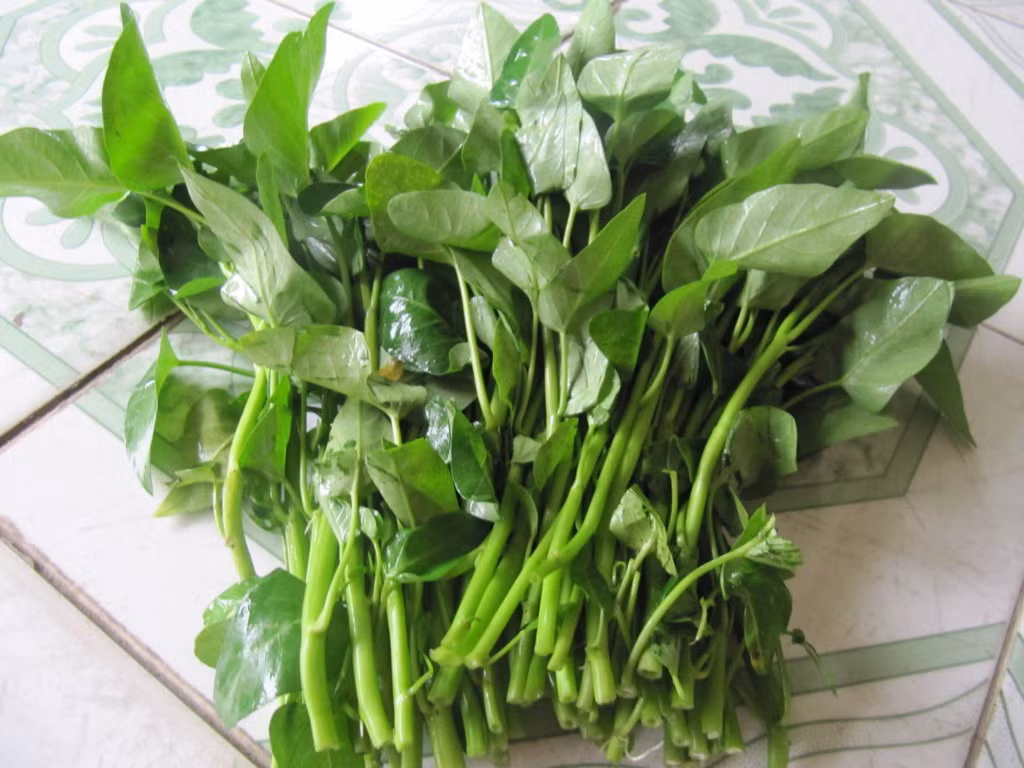 Rau muống có nhiều chất xơ, vitamin C và tốt cho hệ miễn dịch. Cũng giống như rau mồng tơi, rau muống có thể chế biến thành nhiều món như luộc, nấu canh, xào hoặc làm nộm, trộn gỏi đều rất ngon. Ảnh: vifood.