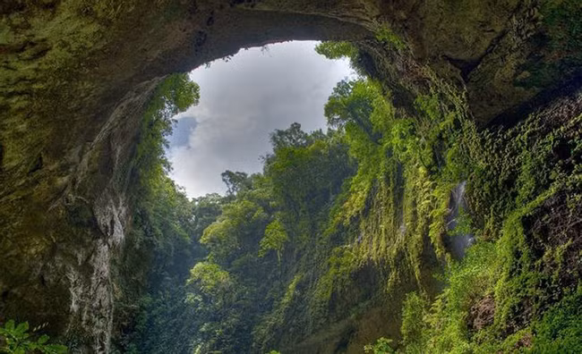 Hang Sơn Đoòng của Việt Nam: Hang động đặc biệt này có một cửa sổ trời khổng lồ giúp hang nhận được lượng ánh sáng mặt trời lớn khiến thảm thực vật phát triển rất tốt và điều này đã đưa hang Sơn Đoòng trở thành một trong những hệ thống hang động đẹp nhất thế giới.