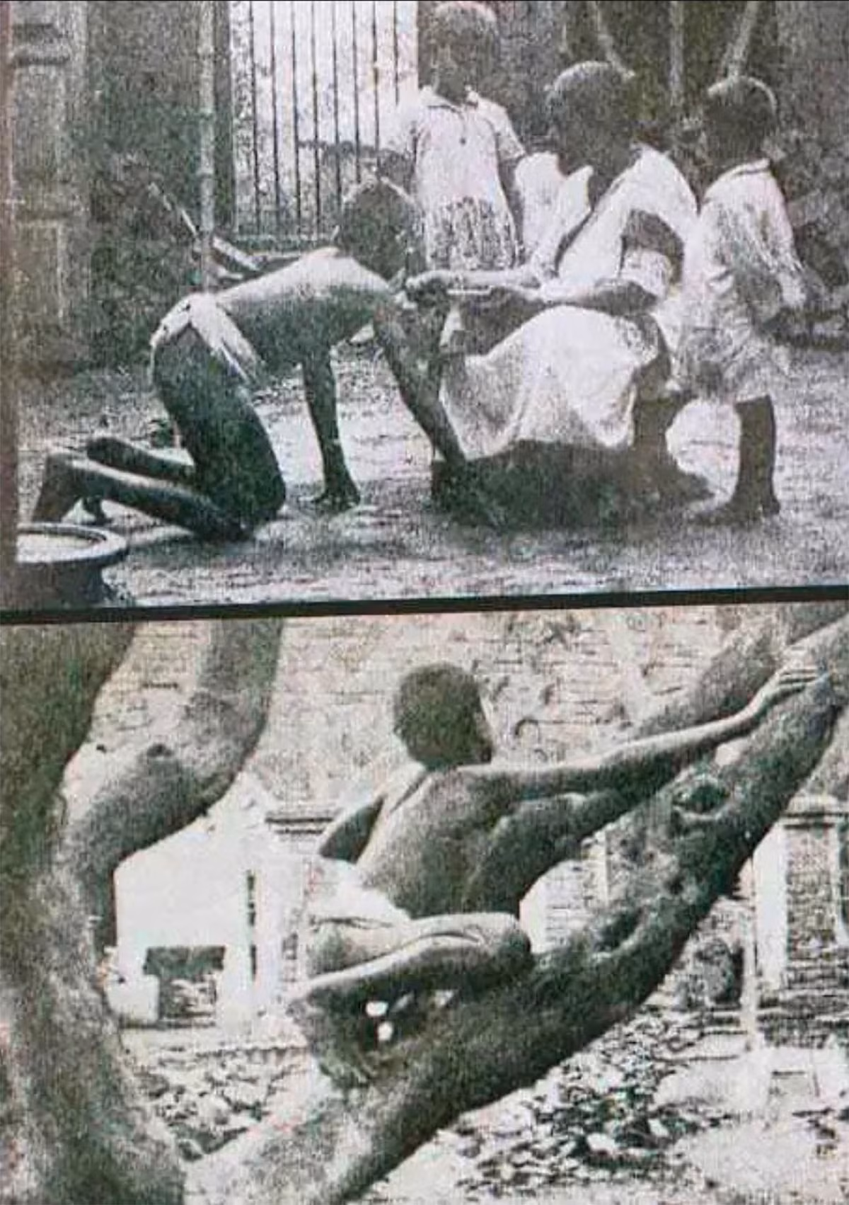 Vào năm 1895, Sanichar qua đời vì căn bệnh lao. Khi ấy, chàng trai "người rừng" 35 tuổi.