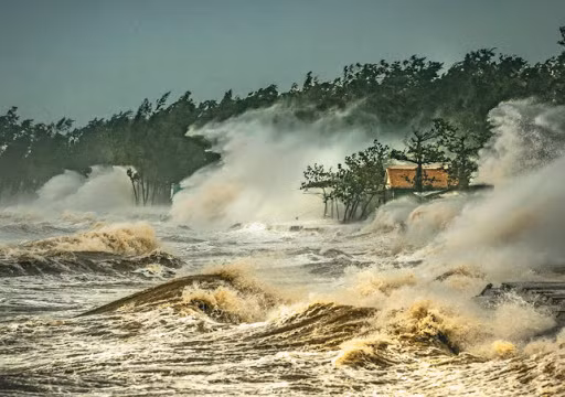 Theo dự đoán này, biến đổi khí hậu đang diễn ra ngày càng nghiêm trọng. Nếu con người không có những biện pháp cải thiện môi trường thì trong mỗi năm tiếp theo sẽ đối mặt với nhiều mối nguy hiểm.