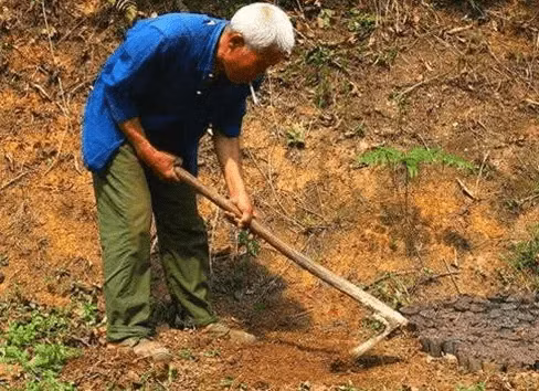 Năm 1990. một nông dân ở ngôi làng nhỏ tại ngoại ô Tây An, tỉnh Thiểm Tây, Trung Quốc đào giếng để lấy nước. Khi đào tới độ sâu 3 - 4m, ông thấy cuốc va vào vật cứng. Sau khi dùng xẻng cẩn thận xới đất ra, ông phát hiện nhiều đồng xu vàng.