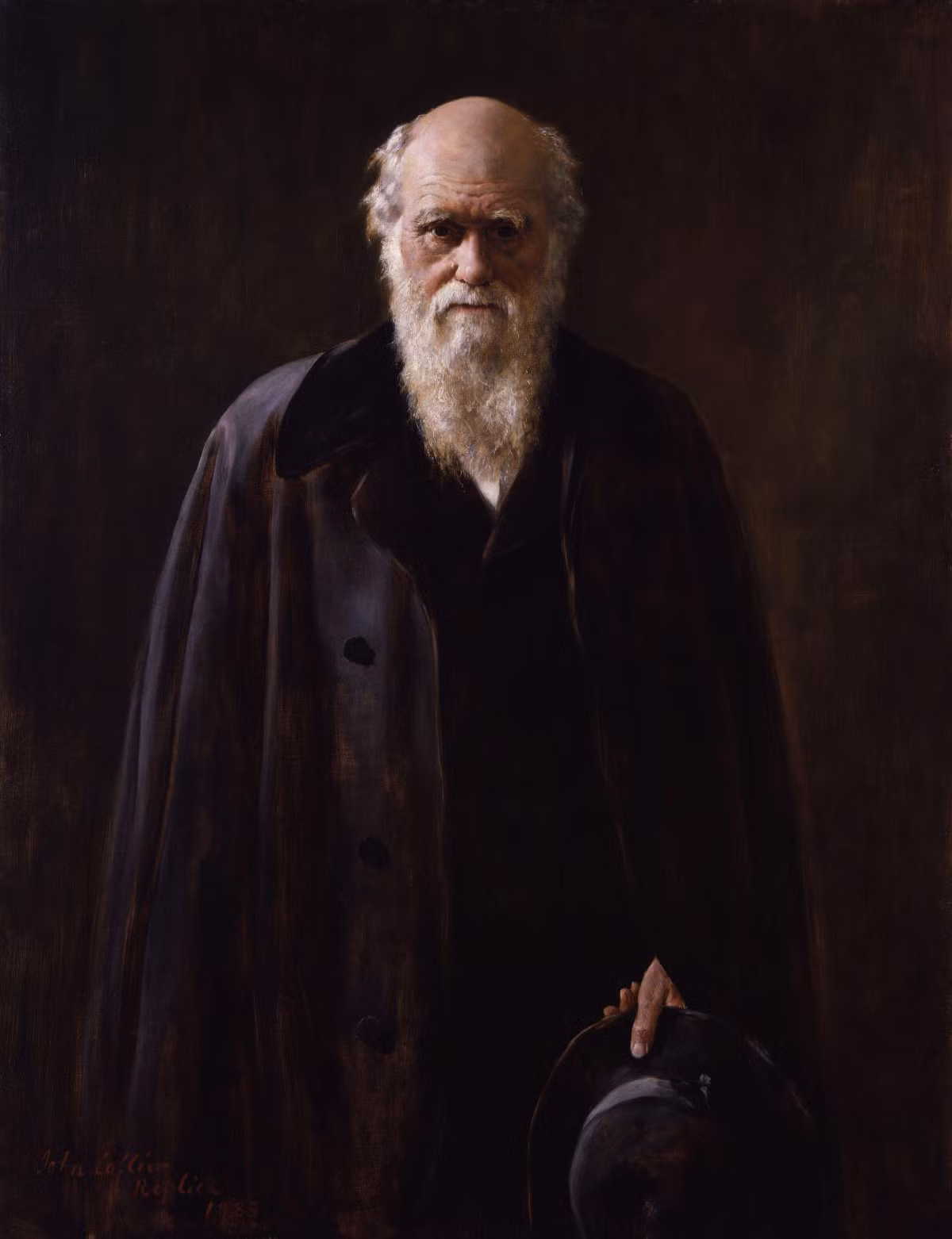 Chính điều này đã giúp Charles Darwin gặt hái được nhiều thành công trong lĩnh vực nghiên cứu khoa học và có ý nghĩa quan trọng đối với sự phát triển của nhân loại.