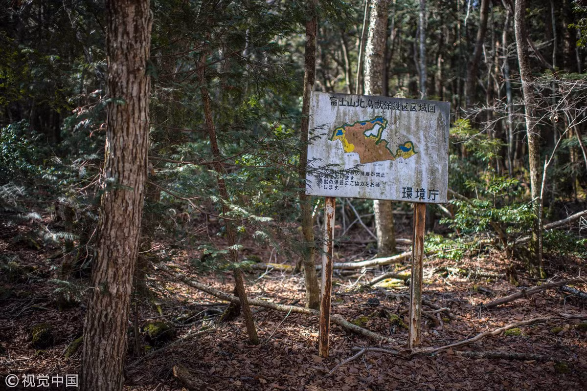 Do khu rừng Aokigahara quá rộng lớn và phức tạp nên giới chức trách và lực lượng cứu hộ không thể tìm kiếm được ở tất cả mọi nơi. Vì vậy, một số thi hài được tìm thấy và trao trả cho gia đình. Số còn lại "yên nghỉ" trong rừng ở nơi chưa ai phát hiện.