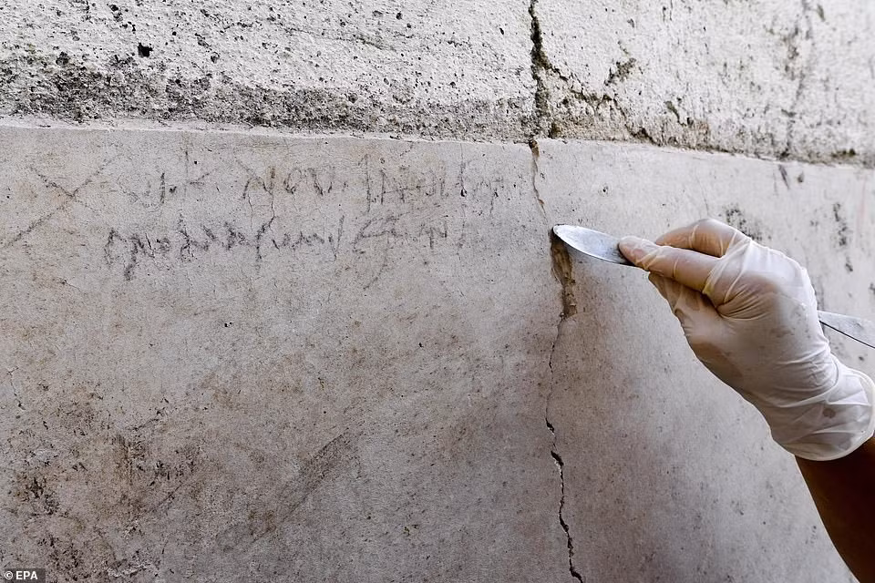 Cách đây hơn 2.000 năm, vàng được giới thượng lưu ở Pompeii ưa chuộng để làm trang sức và những món đồ dùng hàng ngày. Theo đó, những thứ làm từ vàng tượng trưng cho địa vị giàu có của giới thượng lưu.