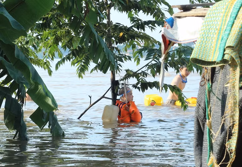 Cả trẻ em cũng được đưa đến...