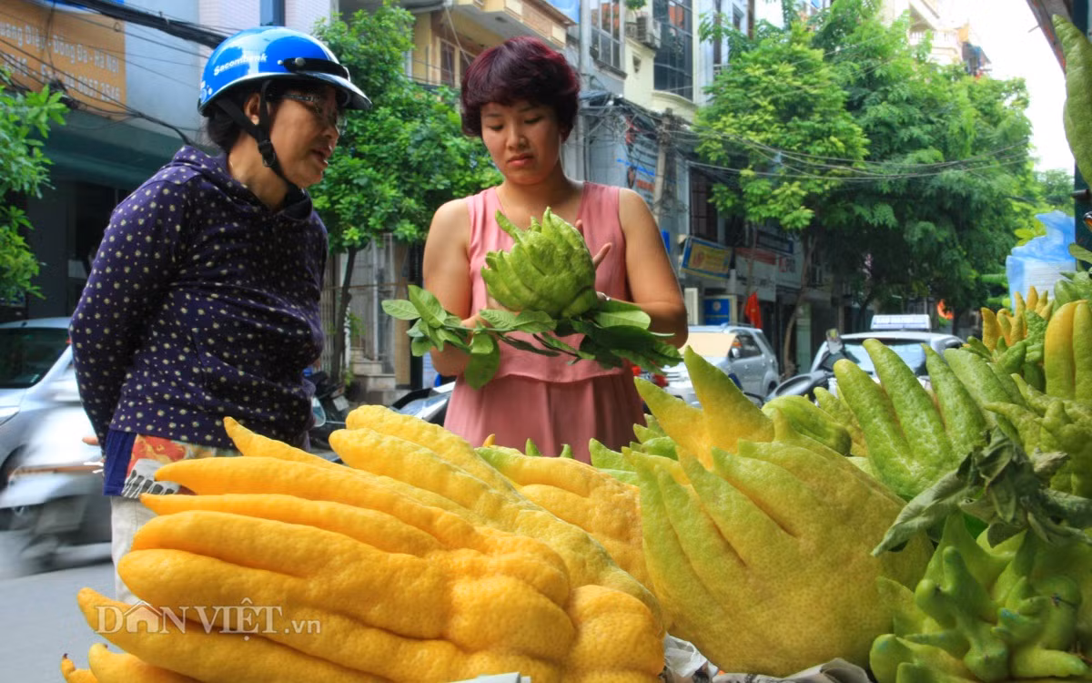 Theo quan niệm xưa, phật thủ là loại quả dùng để thờ Phật và gia tiên vì có mùi thơm quyến rũ, giữ thần, Phật và gia tiên lưu lại trong nhà lâu hơn để phù hộ cho gia chủ.