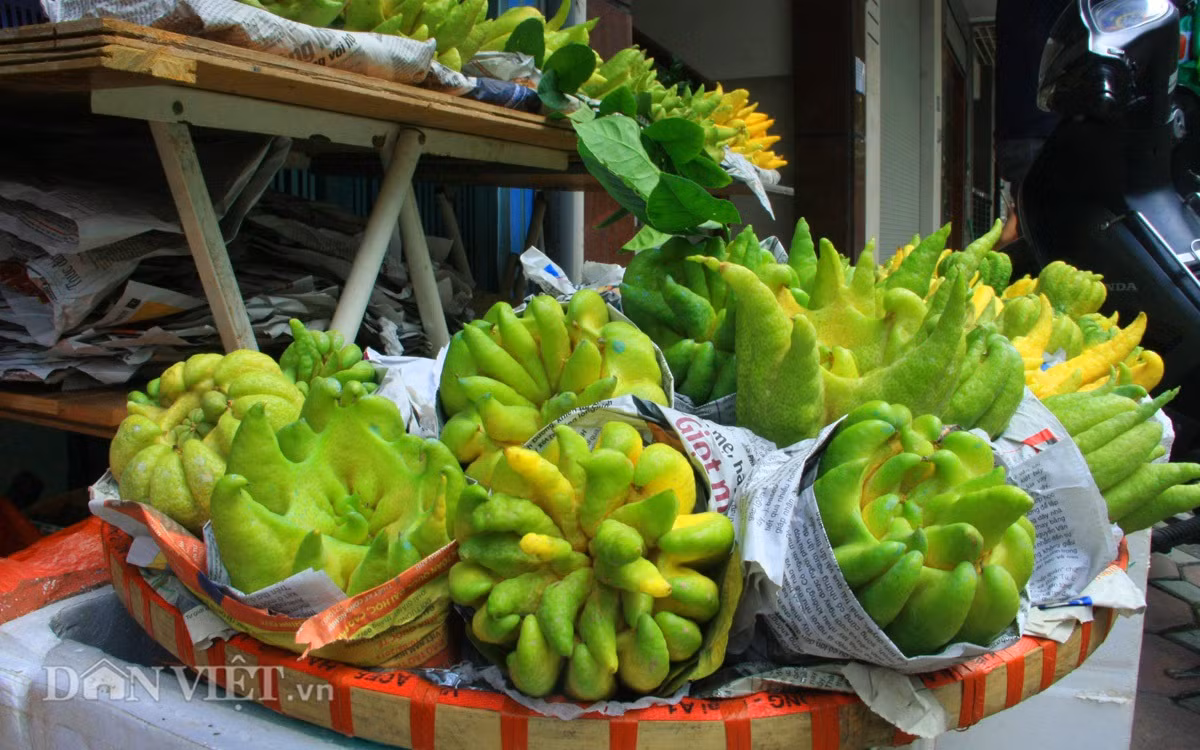 Can canh phat thu tram nghin dat hang ram thang 7