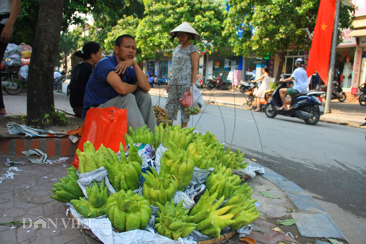 Không chỉ được bán ở các chợ, phật thủ còn theo các gánh hàng rong bày bán rất nhiều ở các vỉa hè dọc trên các con phố.