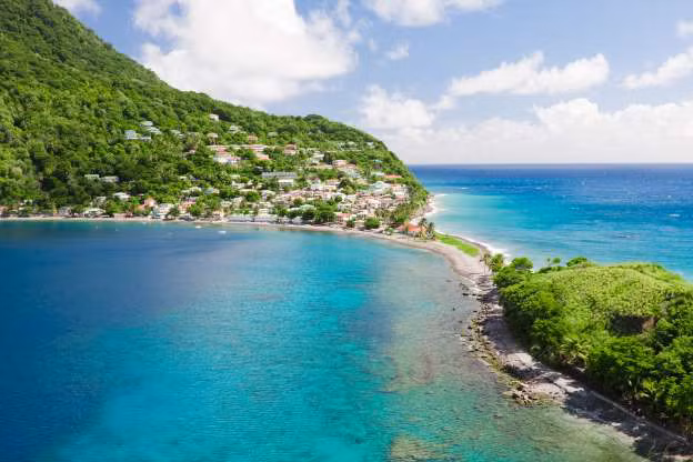 Dominica. Quốc gia vùng Caribe này đã giải tán quân đội năm 1981 và việc phòng vệ hiện nay do lực lượng cảnh sát Thịnh vượng chung Dominica đảm nhận, trong đó bao gồm cả lực lượng Bảo vệ bờ biển.