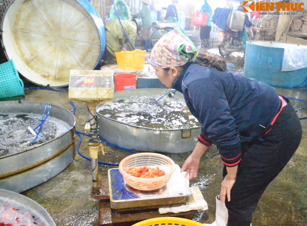 Không chỉ người Hà Nội mà tiểu thương các tỉnh lân cận khác cũng kéo đến đây từ đêm để chờ mua cá, kịp cho phiên chợ sáng.