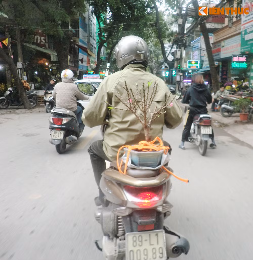 Hay như câu đào tiến vua được chủ nhân chiếc xe BKS 89-L1 009.89 mua với giá 1.000.000 đồng/cây.