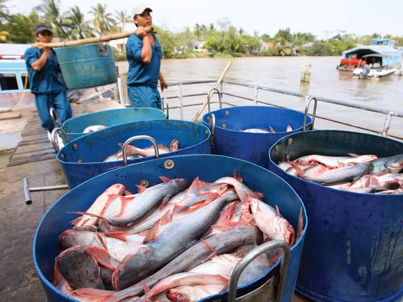 Noi niem ong vu truong va loi phe binh cua Thu tuong