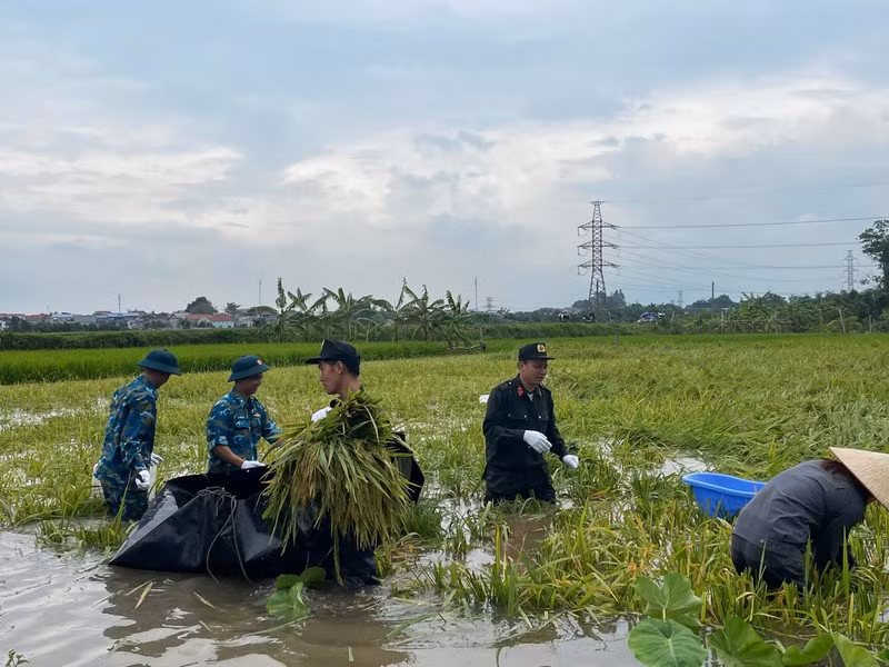 Trung tâm Huấn luyện và sử dụng động vật nghiệp vụ đã huy động 4 xe tải và 100 CBCS cùng xuống đồng giúp dân