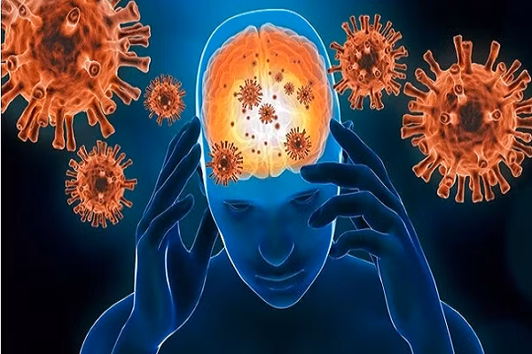 5 câu hỏi về bệnh viêm não virus nguy hiểm ai cũng thắc mắc 5 cau hoi ve benh viem nao virus nguy hiem ai cung thac mac