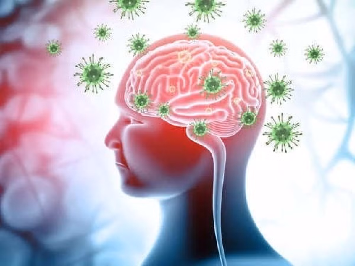Dù có tỷ lệ tử vong cao nhưng virus Nipah có tốc độ lây lan thấp hơn virus SARS-CoV-2. Khoảng 20% những người sống sót sau khi nhiễm virus Nipah có các triệu chứng thần kinh kéo dài như co giật và thay đổi tính cách. Vì vậy, cơ quan chức năng khuyến cáo người dân không nên ăn trái cây rơi trên mặt đất và tránh tiếp xúc với dơi ăn quả, động vật đi lạc hay người bị nhiễm virus Nipah.