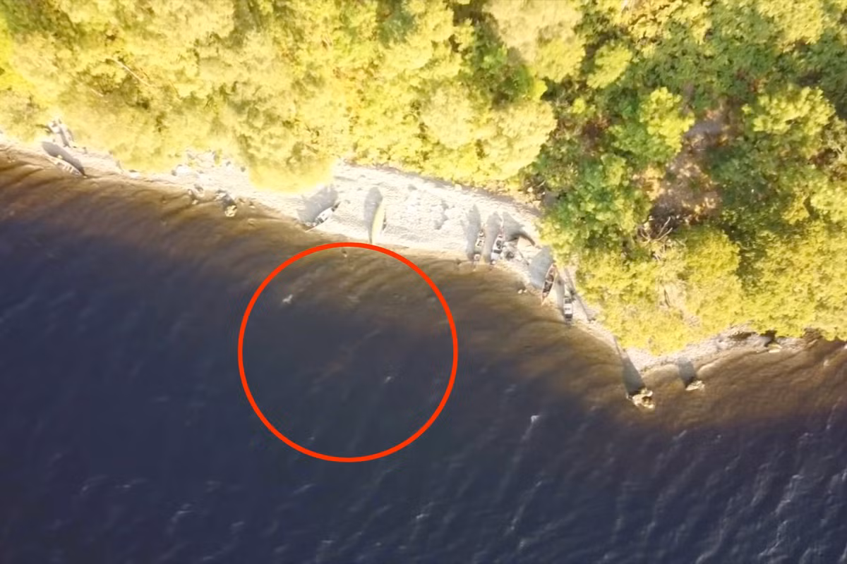 Nhiều người sau khi xem video của ông Richard phát hiện bên dưới mặt hồ Loch Ness dường như là một sinh vật bí ẩn. Họ hoài nghi đây chính là quái vật hồ Loch Ness.