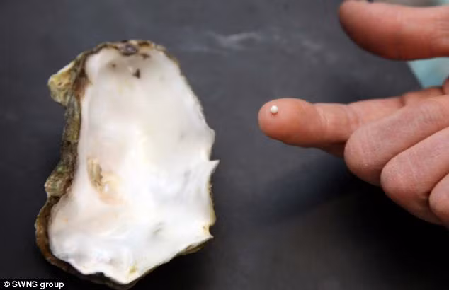 Nhóm bạn vô cùng ngạc nhiên khi nhận ra thứ họ vừa tìm thấy là một con trai có kích thước khá lớn. Họ mang nó về chỗ cắm tại.