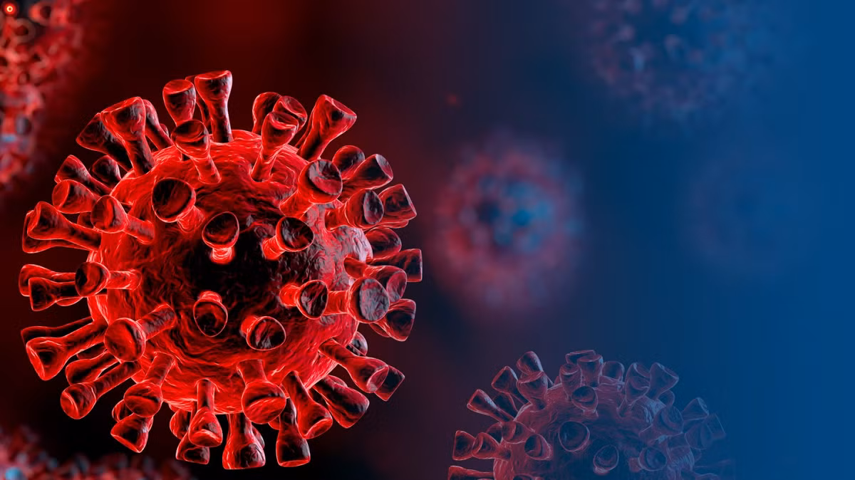 Trình tự này có tác dụng giúp virus dễ dàng xâm nhập vào tế bào người như ở SARS-CoV-2. Điều này cho thấy cần phải nghiên cứu thêm để hiểu rõ hơn về đặc tính này ở virus SARS-CoV-2.