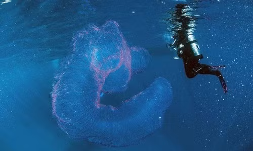 Jay Winks là người điều hành công ty du lịch Abc Scuba Diving Port Douglas gây xôn xao dư luận khi chia sẻ ảnh chụp " quái vật biển" phát sáng đã gặp ở vùng biển ngoài khơi Australia vào năm 2017.