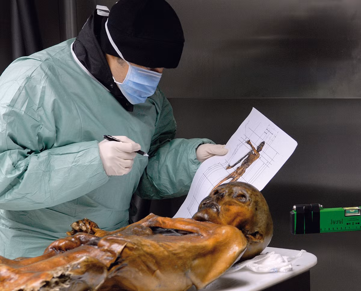 Trong dạ dày của Otzi, các chuyên gia phát hiện bữa ăn cuối cùng của người này là thịt dê, thịt hươu đỏ, ngũ cốc nguyên hạt cùng dương xỉ độc.