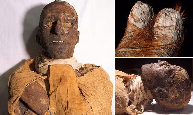 Từ đây, các nhà khoa học nhận định thủ phạm sát hại pharaoh Ramesses III gồm có 2 người. Một kẻ tấn công nhà vua từ phía trước bằng rìu trong khi thủ phạm thứ 2 tập kích từ phía sau bằng dao.