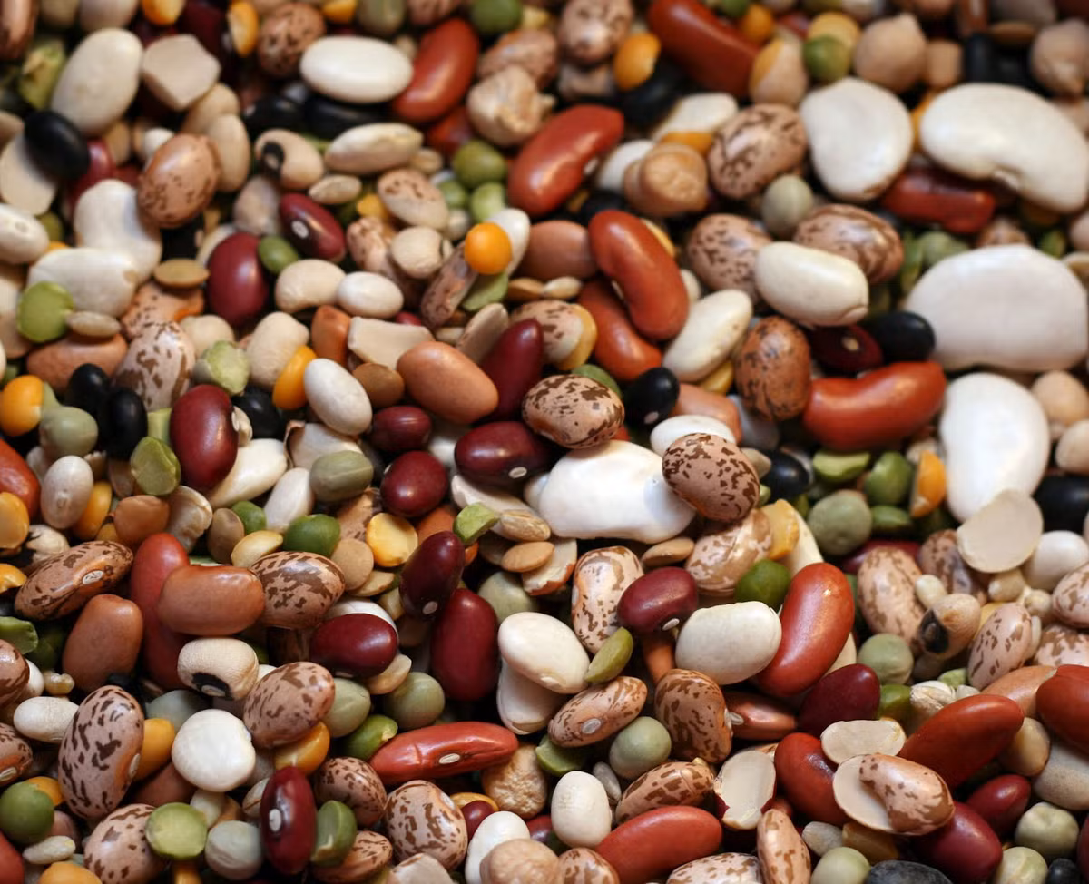 Các loại đậu: Bằng cách thêm đậu vào các món ăn, bạn đã tăng cường thêm protein cần thiết cho cơ thể. Có rất nhiều món và nhiều cách để chế biến các loại đậu như: đậu Hà Lan xào thịt bò, canh đậu Hà Lan nấu xương,... 