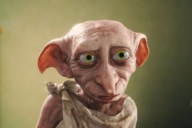 Bên cạnh đó, cũng có người nói rằng, mèo Yoda với đôi tai xòe sang hai bên và đôi mắt to tròn, long lanh còn giống cả yêu tinh Dobby trong bộ phim nổi tiếng Harry Potter.