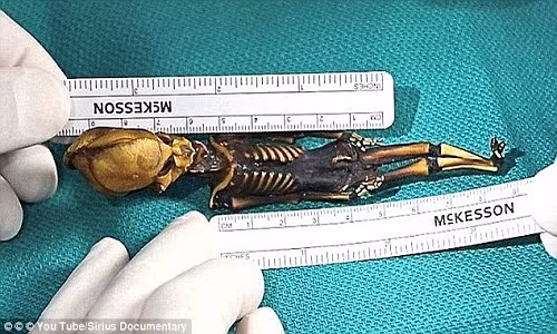  Xác ướp có kích thước 15 cm được các chuyên gia đặt tên là Ata vì thi hài này được tìm thấy ở khu vực Atacama, Chile năm 2003. Về sau, xác ướp trên thuộc sở hữu của một nhà sưu tập người Tây Ban Nha.