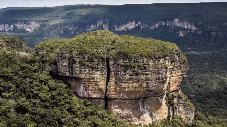Chiribiquete là công viên quốc gia lớn nhất ở Colombia. Nơi đây nổi tiếng với sự đa dạng thực vật lớn của vùng Amazon và khu rừng nhiệt đới, núi non kỳ vĩ.