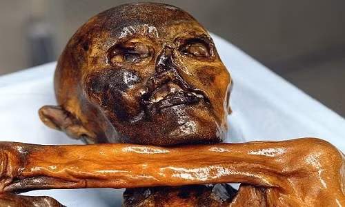 Theo nhà nghiên cứu Zink, 2 giờ trước khi bị sát hại, người băng Otzi đã thưởng thức một bữa ăn gồm những loại thịt động vật hoang dã như thịt nai, hươu đỏ và các loại hạt ngũ cốc như lúa mì Einkorn.
