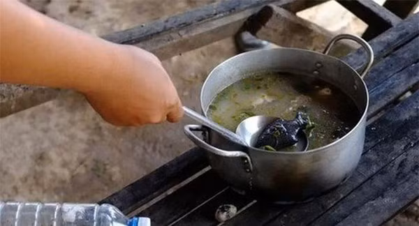 “Bạn chỉ cần đun sôi nồi nước canh hoặc súp cùng với cá sắt trong ít nhất 10 phút, sau đó vớt cá ra. Thêm một chút nước cốt chanh vào nồi để việc hấp thu sắt được hiệu quả. Thực phẩm nấu cùng cá sắt sẽ không thay đổi mùi vị, và bạn có thể dùng chú cá này trong nhiều năm”, bác sĩ Charles nói.