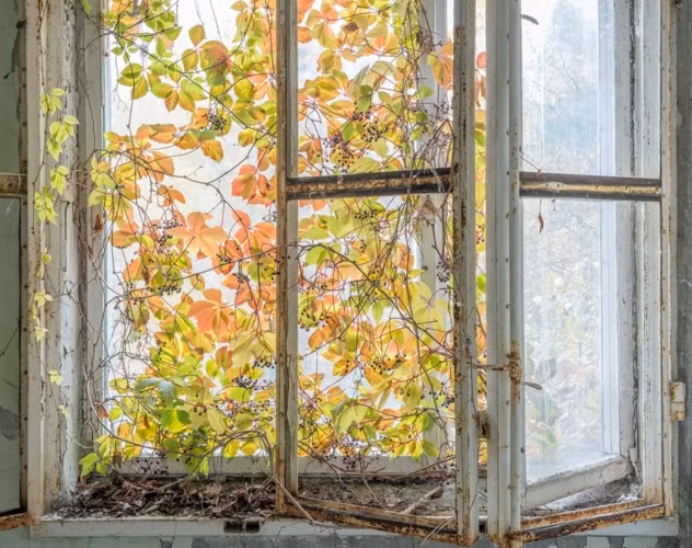 Vùng đất bỏ hoang Chernobyl với vẻ đẹp đầy ám ảnh.