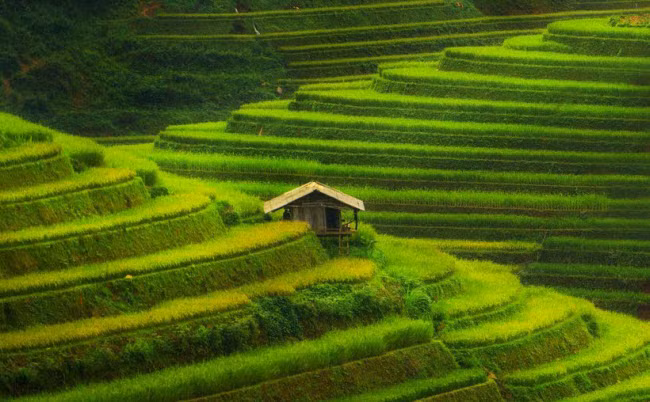  Ruộng bậc thang Mù Cang Chải, Việt Nam: Ruộng bậc thang Mù Cang Chải ở tỉnh Yên Bái đã trở nên nổi tiếng trên mạng xã hội Instagram với những bức ảnh có góc chụp ấn tượng. Các thửa ruộng bậc thang chuyển từ xanh sang vàng khi lúa chín vào tháng 10 hằng năm.