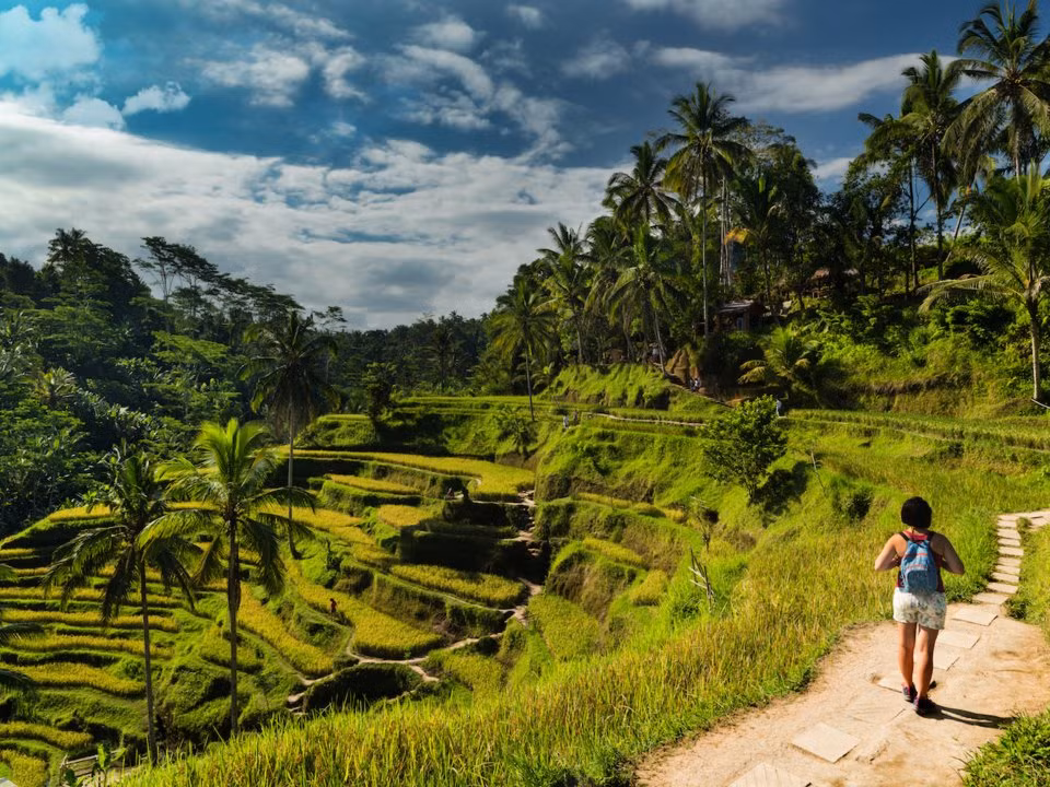 Tegalalang Rice Terrace, Tegalalang and Ubud, Indonesia. (ảnh: Insider).