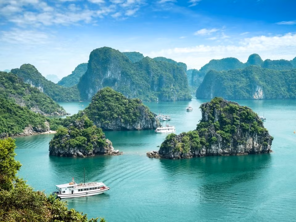 Tờ báo này khẳng định: "Vẻ đẹp tự nhiên làm cho Vịnh Hạ Long trở thành một trong những địa điểm du lịch số một của Việt Nam. Vịnh cũng là một di sản thế giới của UNESCO. Cách tốt nhất để xem các tháp đá vôi đáng kinh ngạc của Hà Long là bằng thuyền. Trên thực tế, nhiều khách du lịch đã ở lại qua đêm trên một chiếc thuyền trong vịnh Hạ Long".