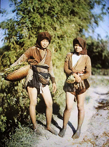 Hai cô gái đi hái rau về, quần vén cao lộ đôi chân săn chắc, khỏe mạnh.