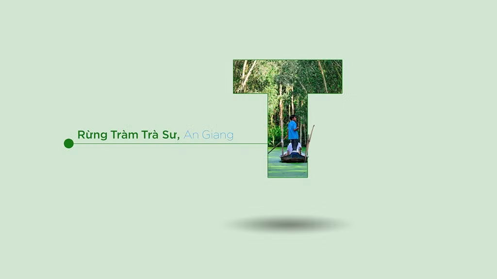 Đây là khu rừng ngập nước tiêu biểu cho vùng Tây sông Hậu, nơi sinh sống của nhiều loài động vật và thực vật thuộc hệ thống rừng đặc dụng Việt Nam. Theo các phượt thủ nổi tiếng, nếu có dịp đến An Giang, bạn nên khám phá khu rừng đặc biệt này.
