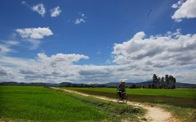 Trong phim mới chỉ xài đến một vài “dem” của đại cảnh đồng quê Phú Yên. Còn nhiều lắm những miền quê đẹp và hoang sơ đến bất ngờ. Xin giới thiệu thêm một ít cảnh quê mà nay mai các bạn có thể đến để tìm lại tuổi thơ của mình bằng bất cứ chiếc vé nào: máy bay, tàu lửa, xe giường nằm... Ảnh: Những con đường gập ghềnh giữa cánh đồng có thể tìm được ở nhiều nơi trên đồng lúa Tuy Hòa.