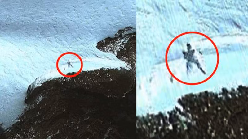 Thông qua công cụ Google Earth, ông Scott có được một bức ảnh chụp một sinh vật bí ẩn cao khoảng 20m.