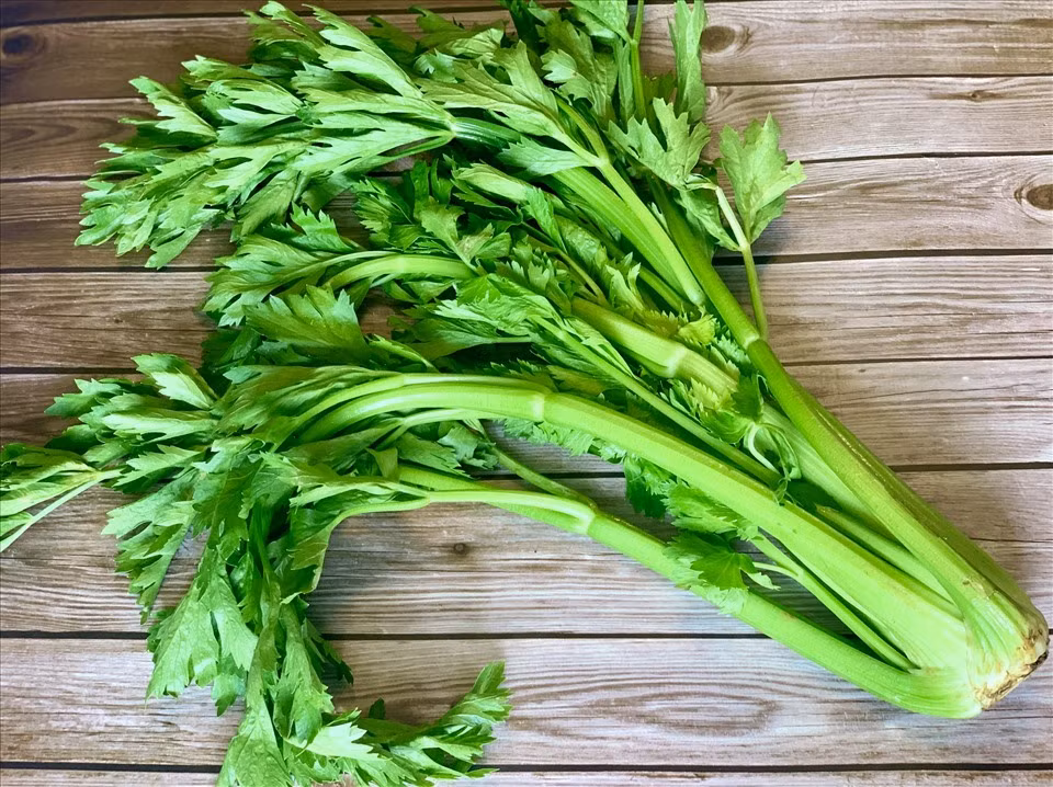 Đặc biệt, rau cần tây là thực phẩm giàu chất xơ, được tiêu hóa trong ruột tạo ra lignin. Đây là chất chống oxy hóa, ở nồng độ cao có thể ức chế chất gây ung thư do vi khuẩn đường ruột tiết ra và có thể ngăn ngừa ung thư ruột kết.