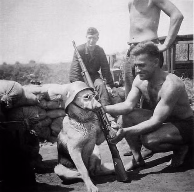 Lính Đức tạo dáng chụp ảnh cùng một chú chó năm 1940.