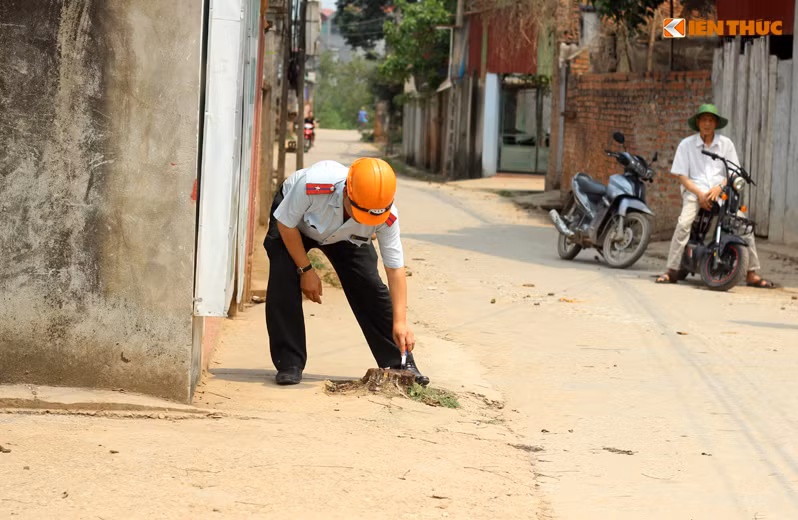 Ngày 23/3, tiếp nhận thông tin về sự việc, các lực lượng chức năng của TP Hà Nội, UBND huyện Thạch Thất đã về làm việc với UBND xã Cẩm Yên, đồng thời tiến hành rà soát lại các cây xanh đã bị chặt hạ.