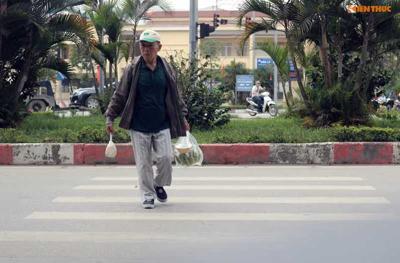 Tại nút giao thông Dương Đình Nghệ - Trung Kính (Hà Nội), vạch kẻ đường chỉ dẫn người đi bộ dẫm đạp lên cỏ xanh để sang phía bên kia đường.