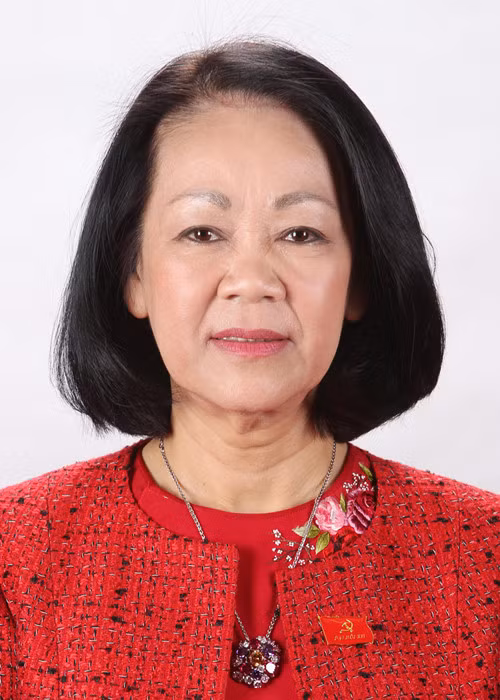Bà Trương Thị Mai sinh năm 1958, quê Quảng Bình, từng trải qua các chức vụ: Bí thư Trung ương Đoàn; Chủ tịch Hội Liên hiệp Thanh niên Việt Nam; Phó Chủ nhiệm Ủy ban văn hóa, giáo dục, thanh niên, thiếu niên và nhi đồng; Chủ nhiệm Ủy ban về các vấn đề xã hội của Quốc hội.